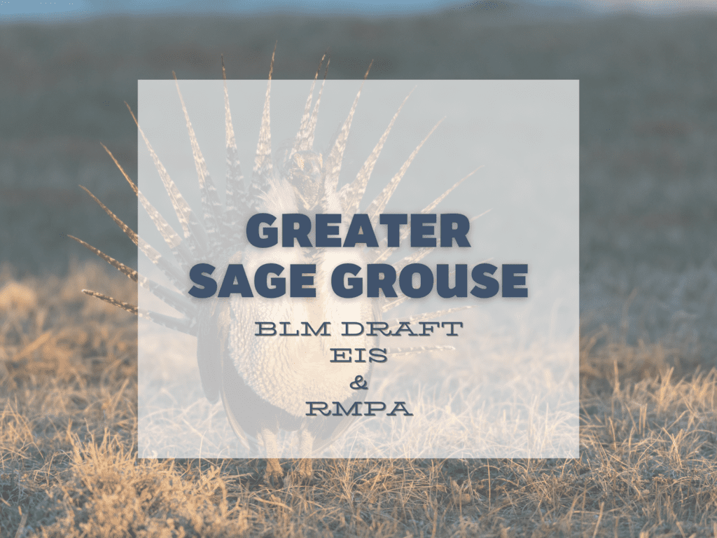 Greater Sage Grouse Western Martingale